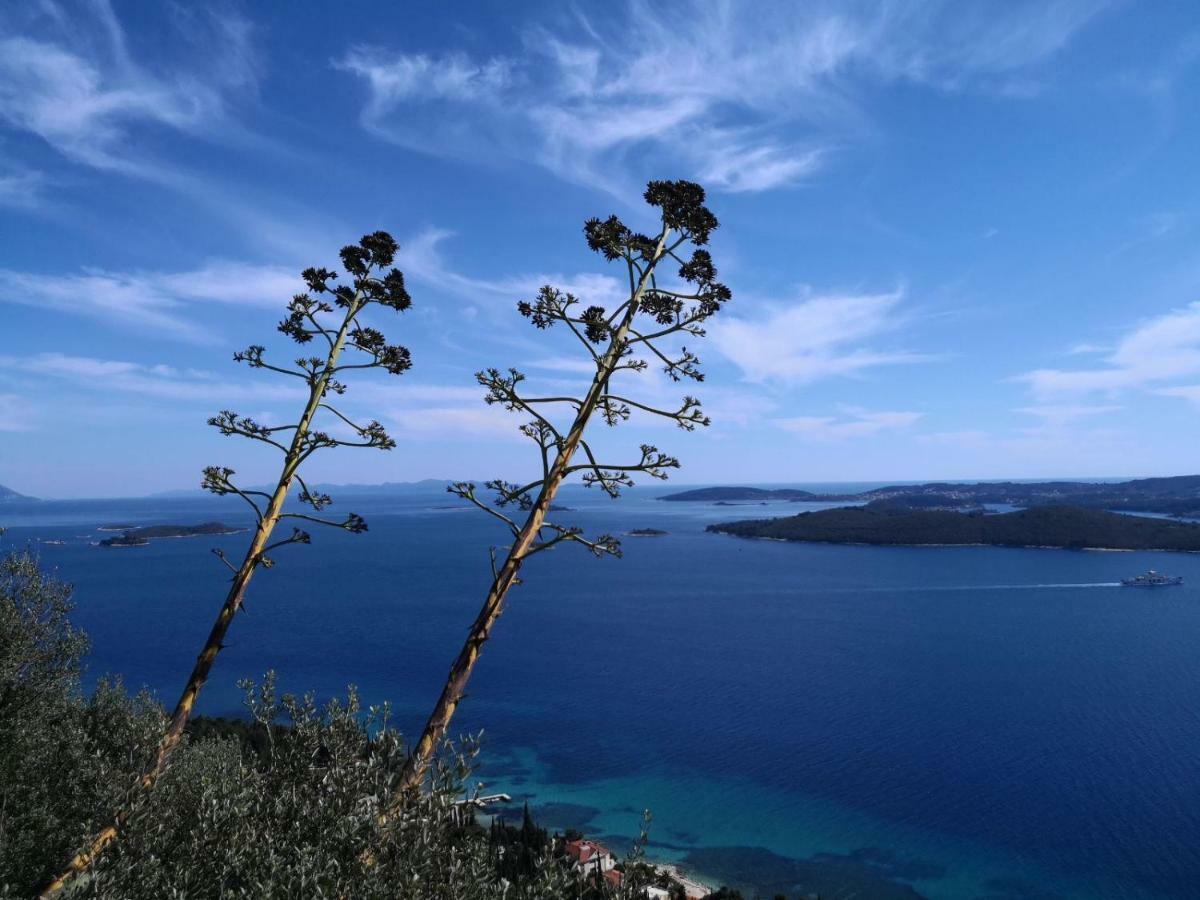Sea And Pine Paradise Orebic Exterior photo